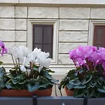 Apartamento La Casa Del Pigneto *